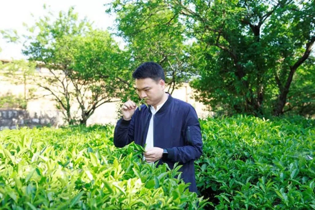 微信图片_20220810163721.jpg
