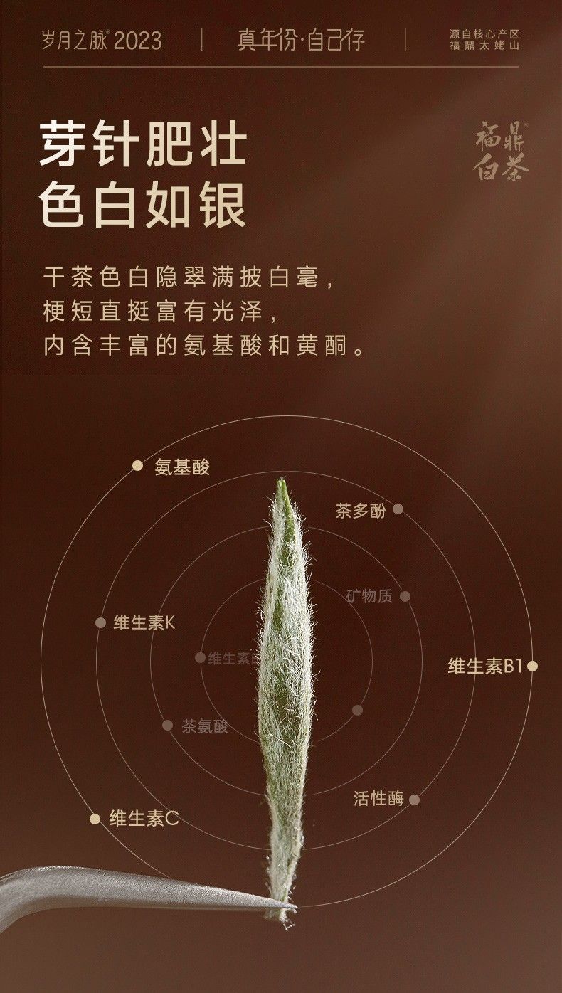 杭州艺福堂茶业有限公司官网- 艺福堂岁月之脉2023*福鼎白茶白毫银针