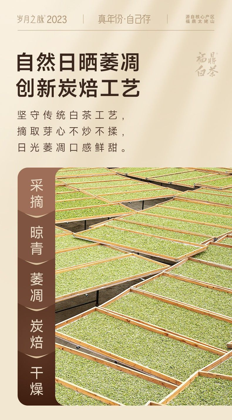 福鼎白茶 2018年製 5g 48袋 国之白茶2018陈皮白茶·合家欢方片茶180g 太姥山福鼎白茶_国之
