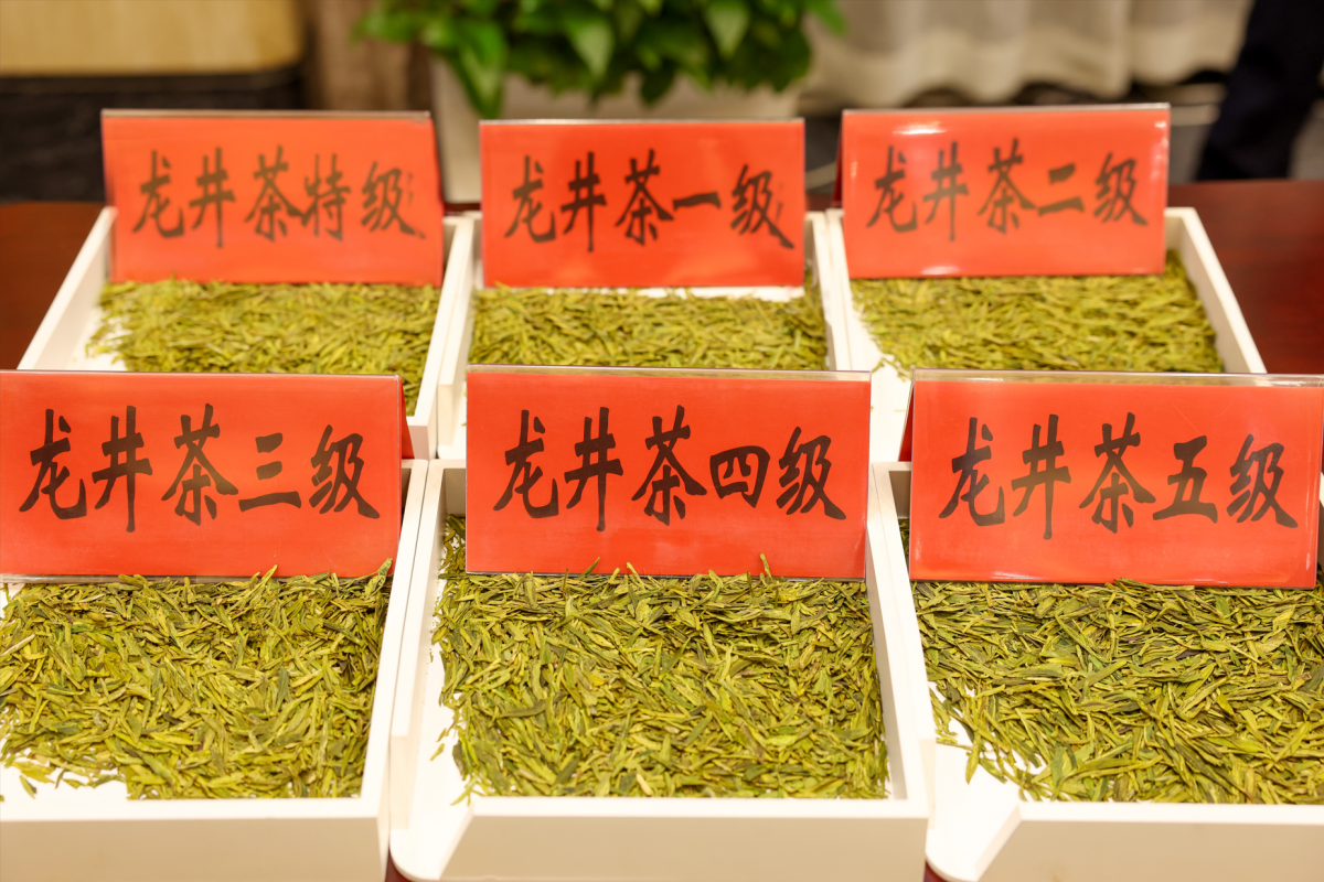小龙井茶.png