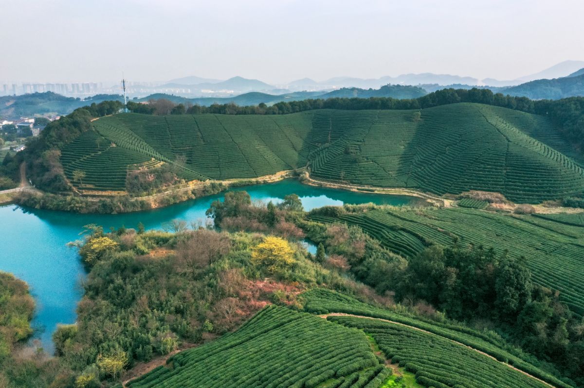 DJI_0297副本111.jpg